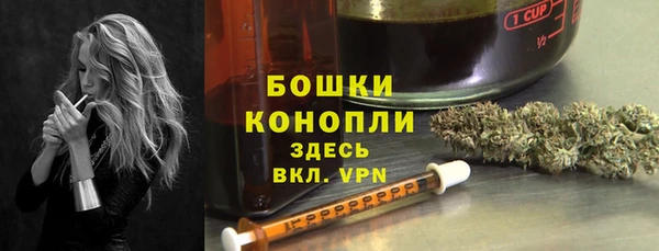мдпв Костерёво
