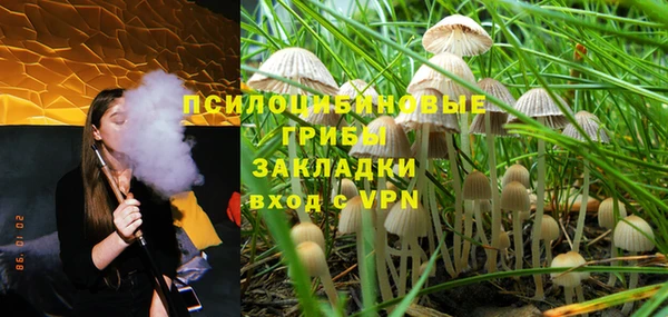 меф Корсаков