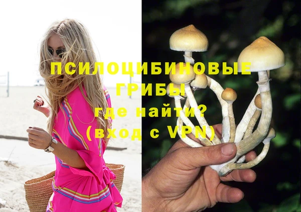 мдпв Костерёво