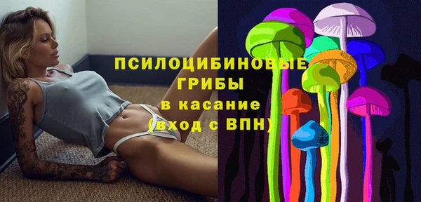 меф Корсаков
